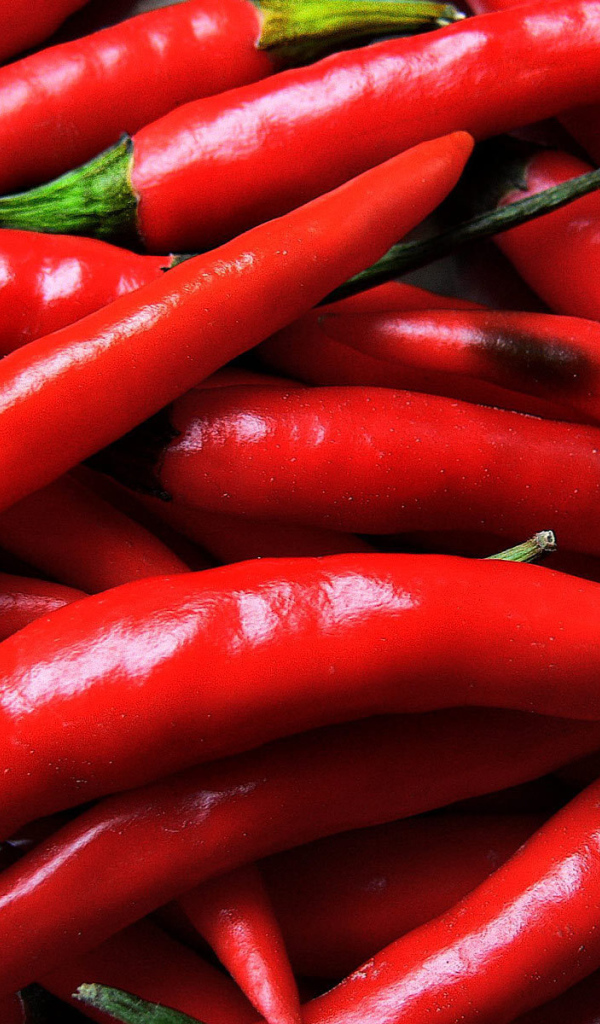 Перец чили