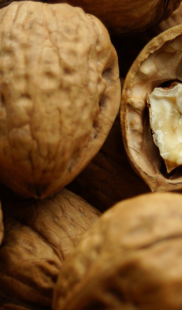 Грецкие орехи