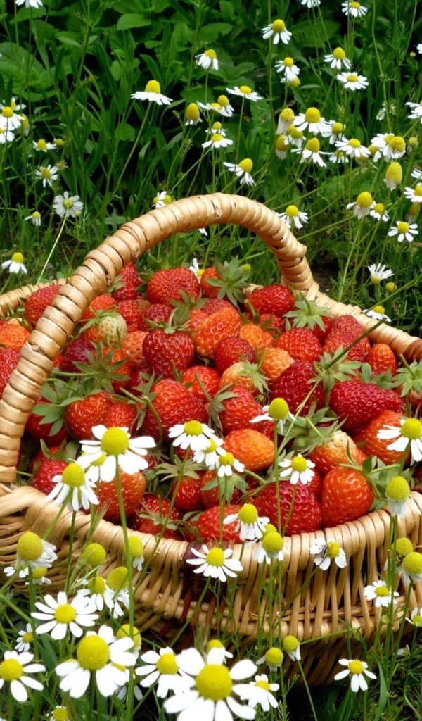 Корзинка с клубникой