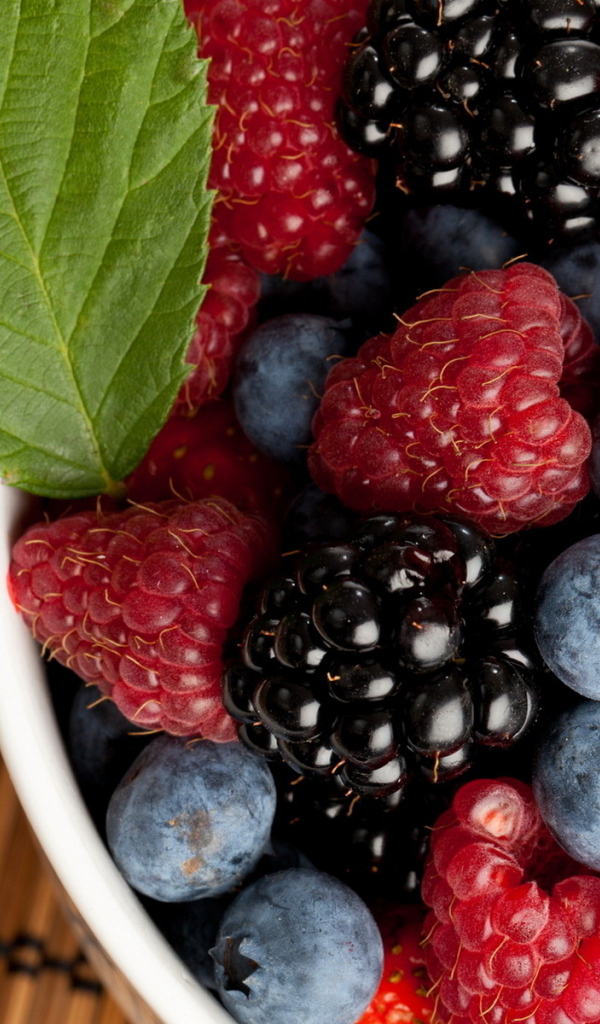 Черника и малина