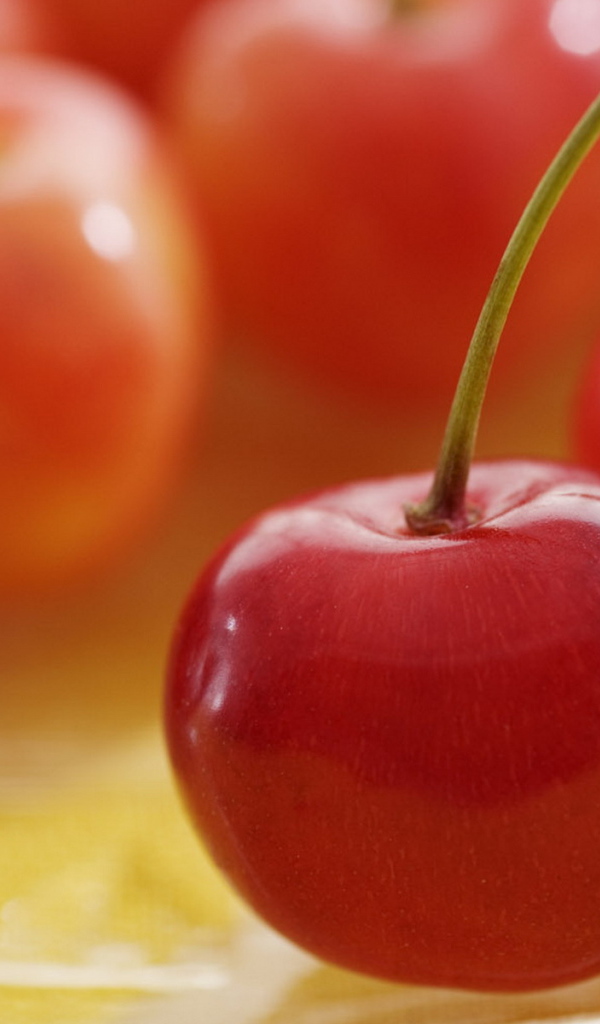 Спелая вишня