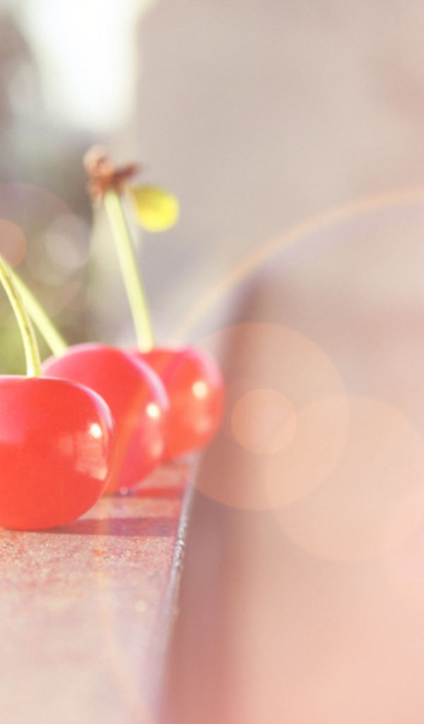 Вишня в лучах света