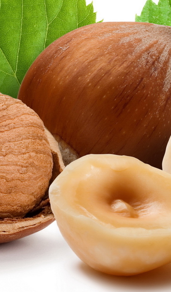 Лесные орехи