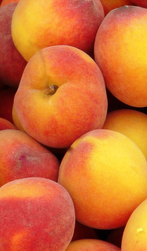 Куча персиков