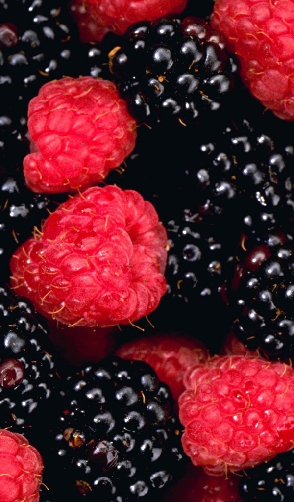 Малина и ежевика