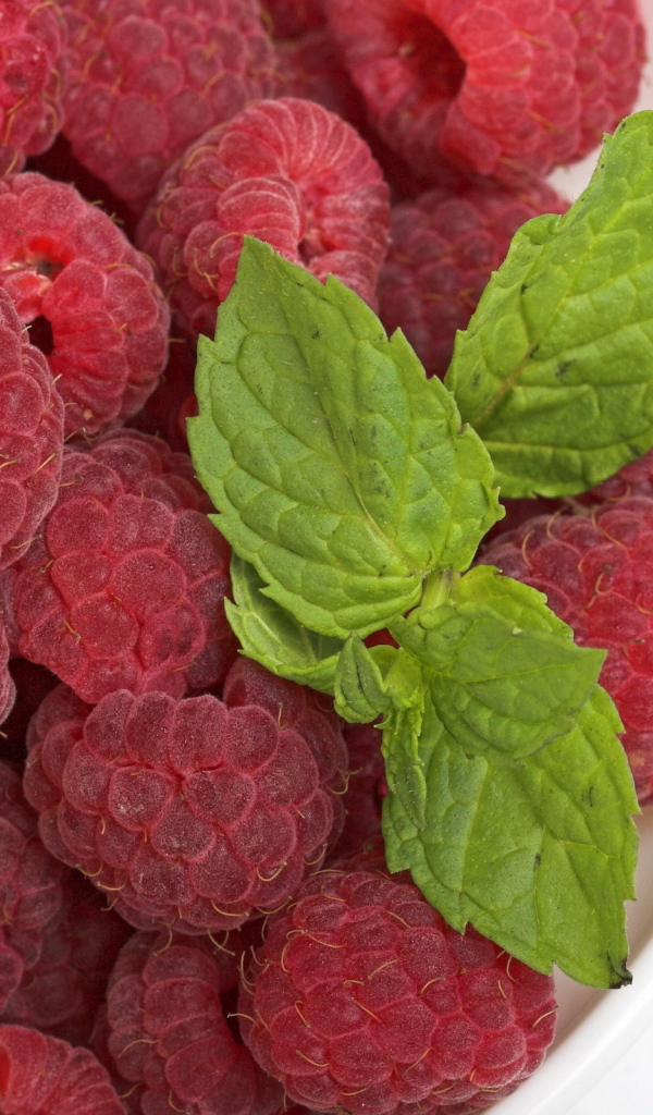 Малина с мятой