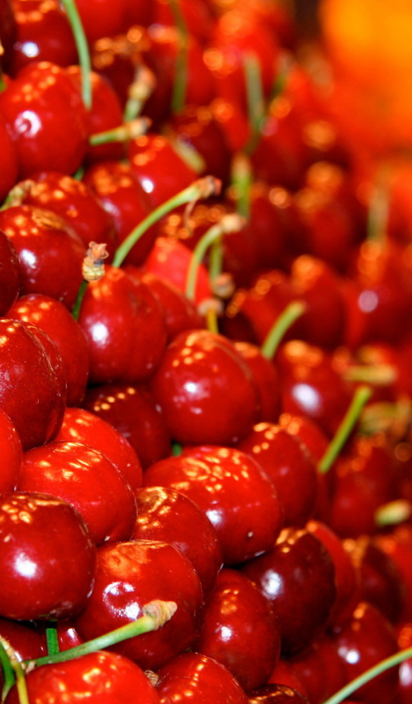 Красная черешня