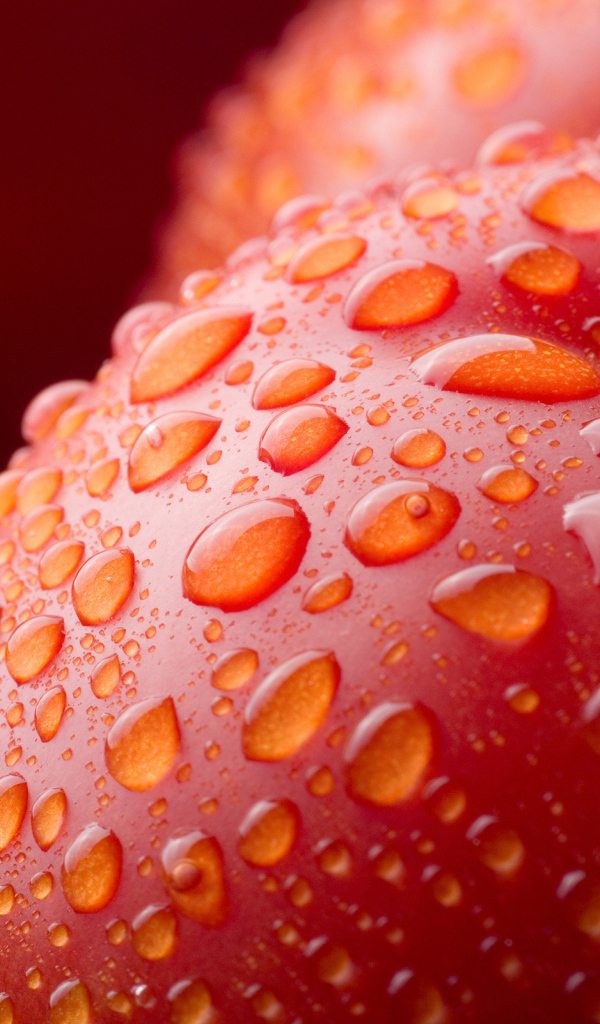 Сладкие яблочки