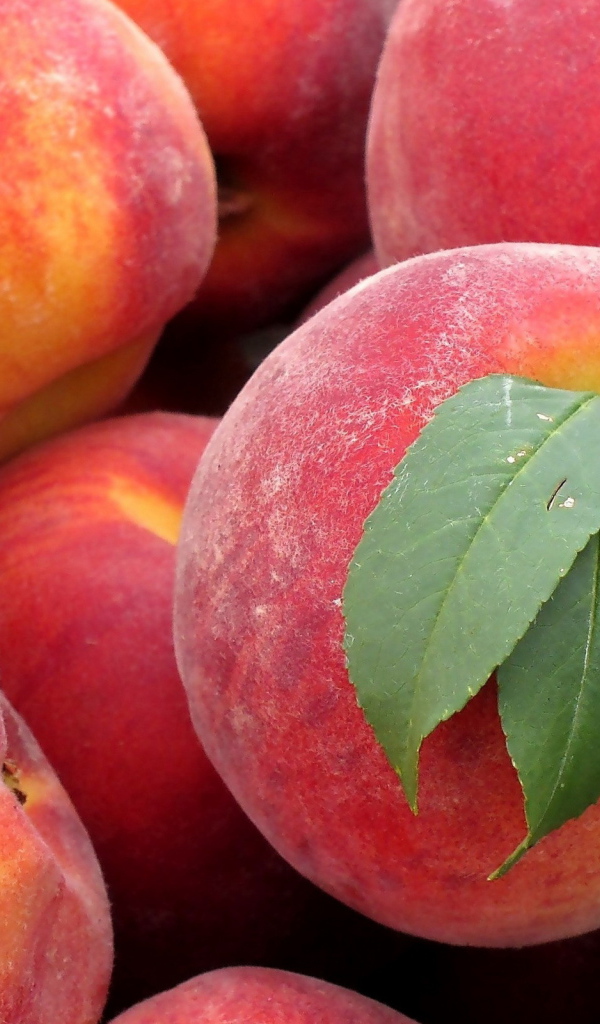 Сладкие персики
