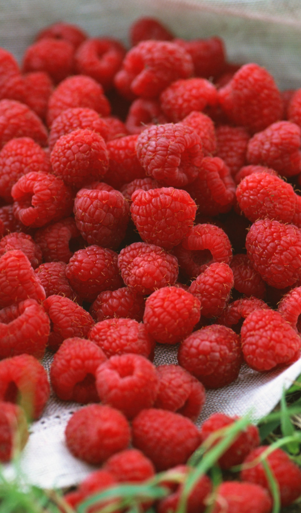 Сладкая малина