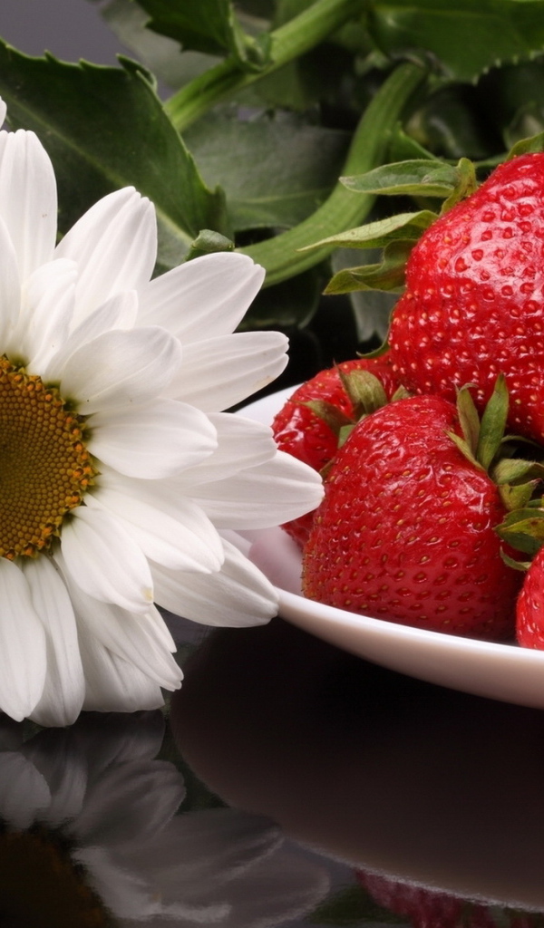 Виктория и цветы