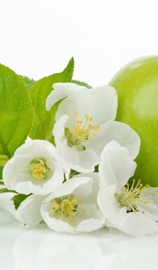 Зеленое яблоко