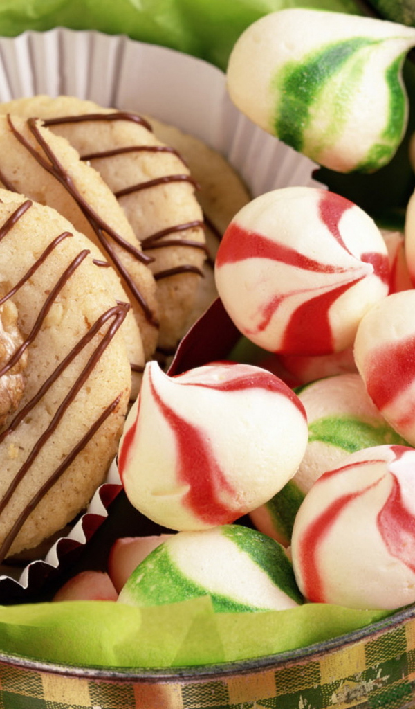 Печенье в железной банке