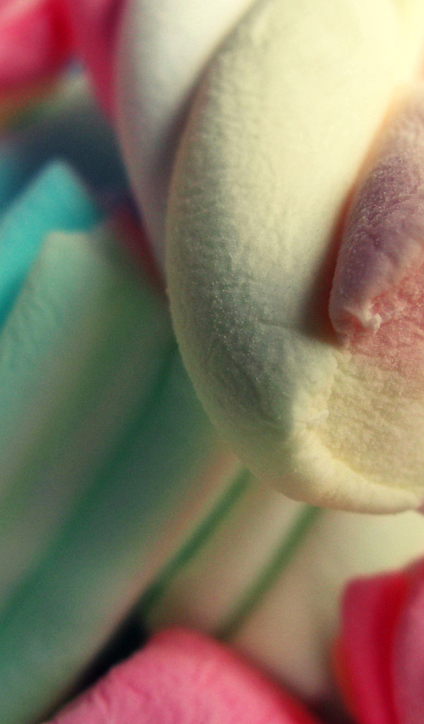 Жевательный зефир