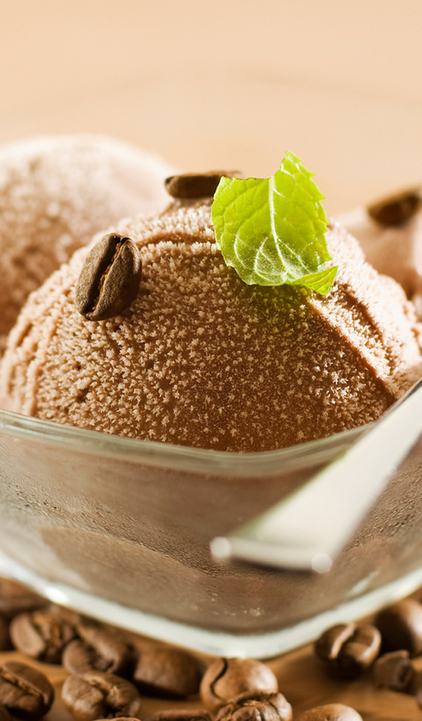 Шоколадное мороженое с мятой