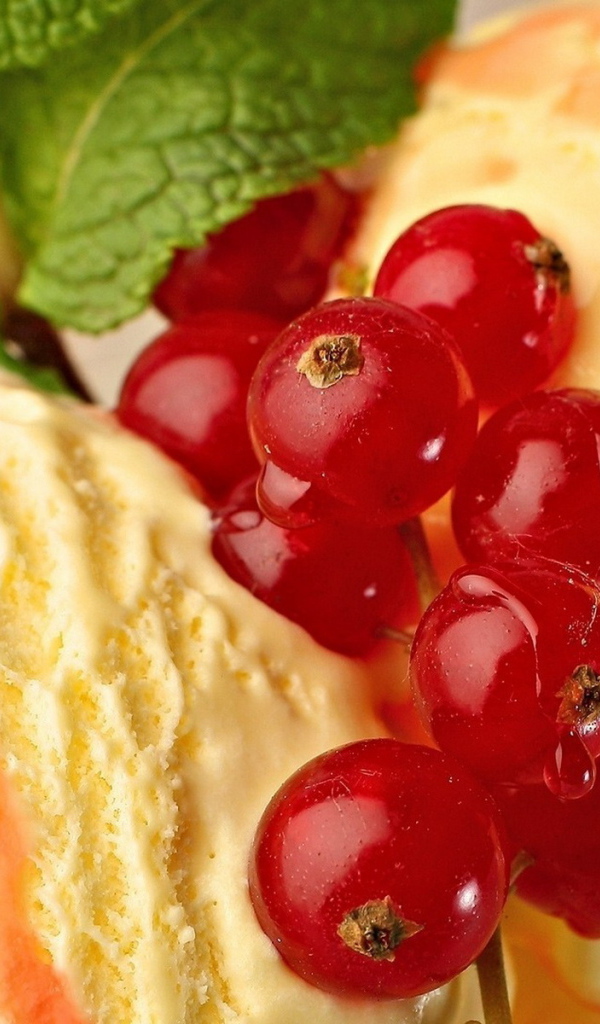 Мороженое со смородиной