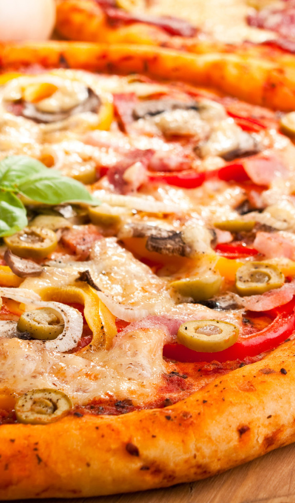 Свежая пицца