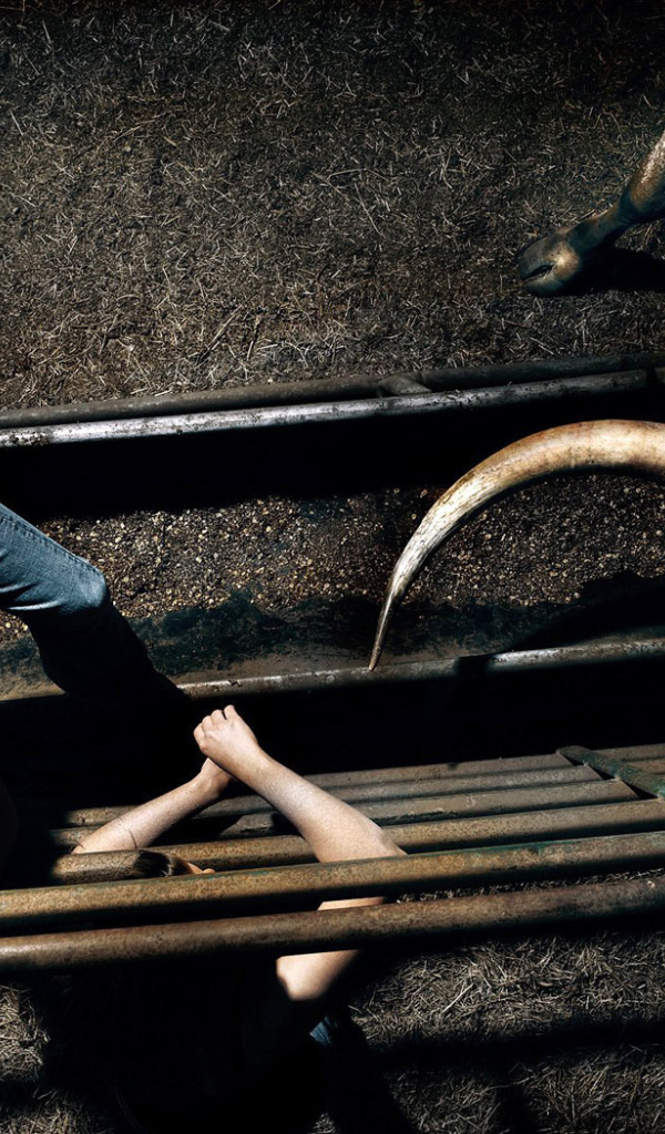 Бык и девушка