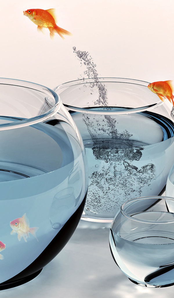 Золотые рыбки