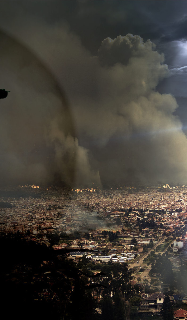 Война котов