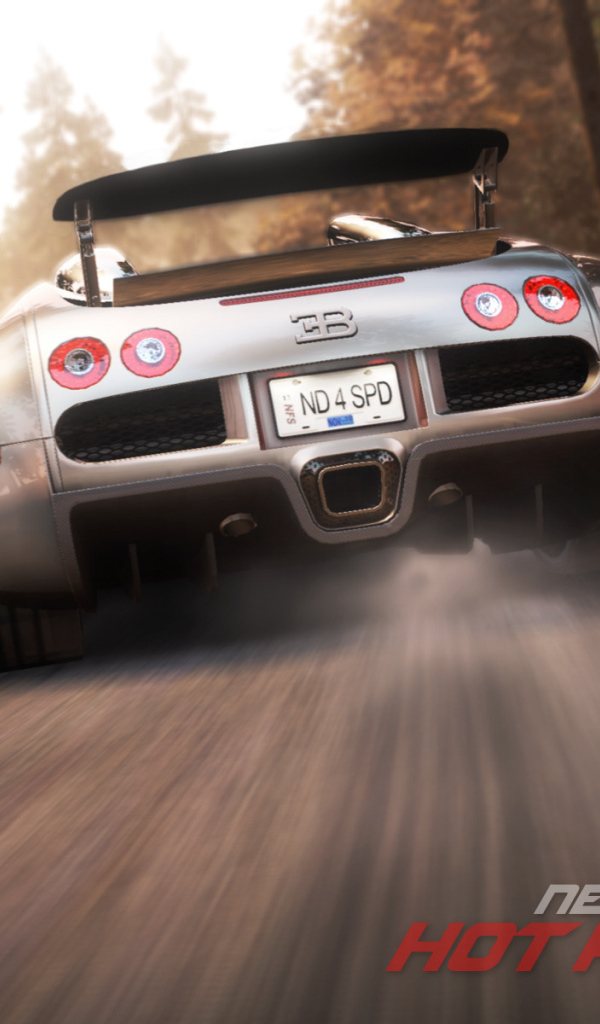 Need for Speed Hot Pursuit