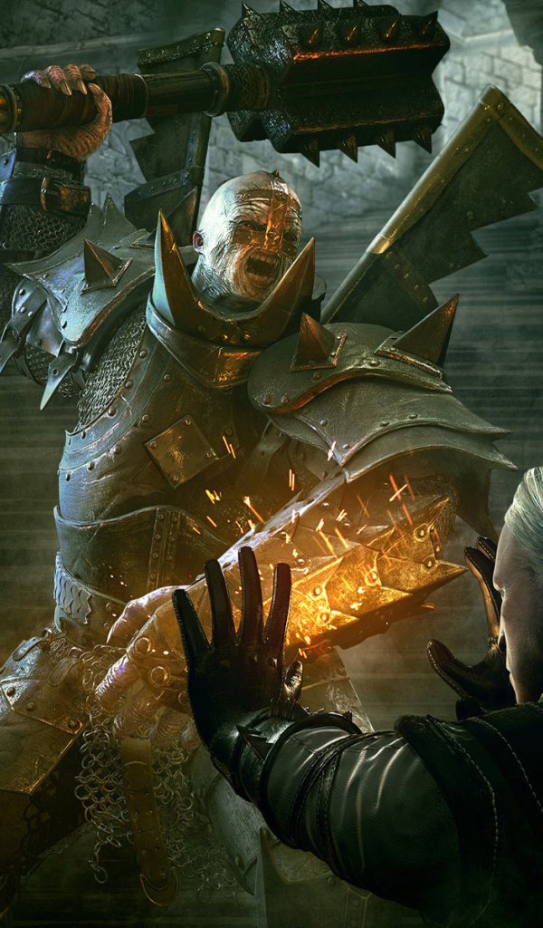 Witcher 2: Assassins of Kings