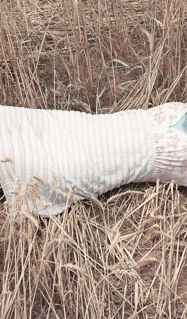 Девушка в поле