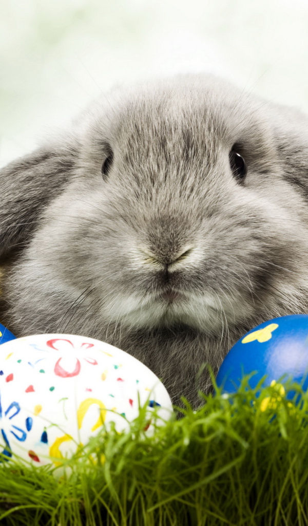 Кролик и яйца