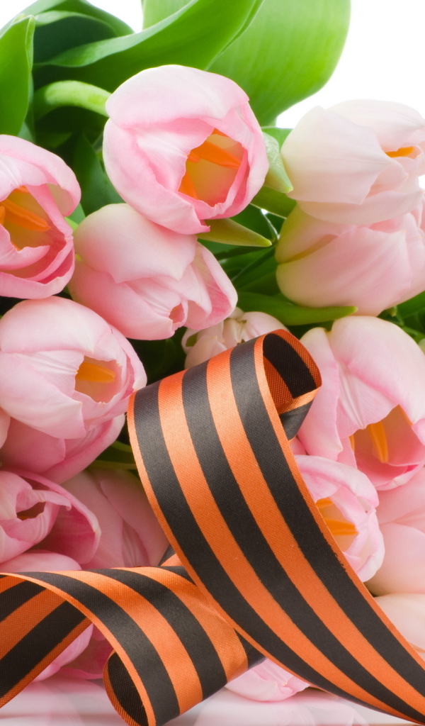 Лента и тюльпаны