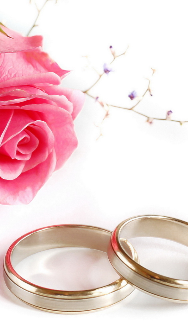 Кольца и роза