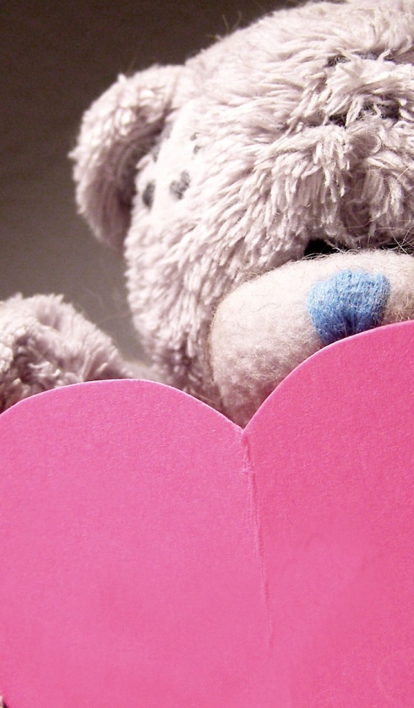 Признание в любви, мишка