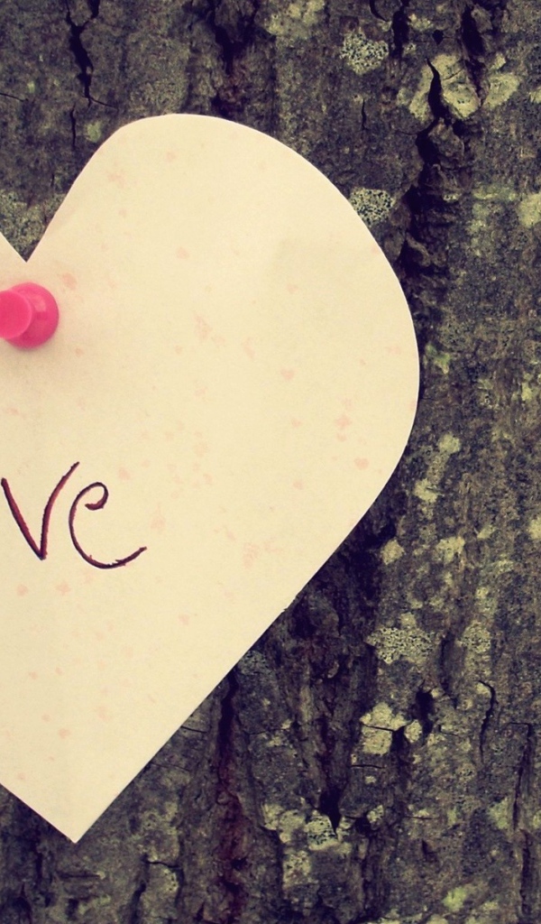 Надпись на дереве