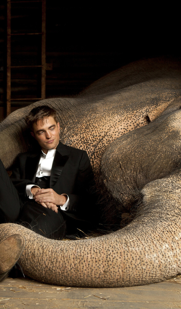 Robert Pattinson и слон