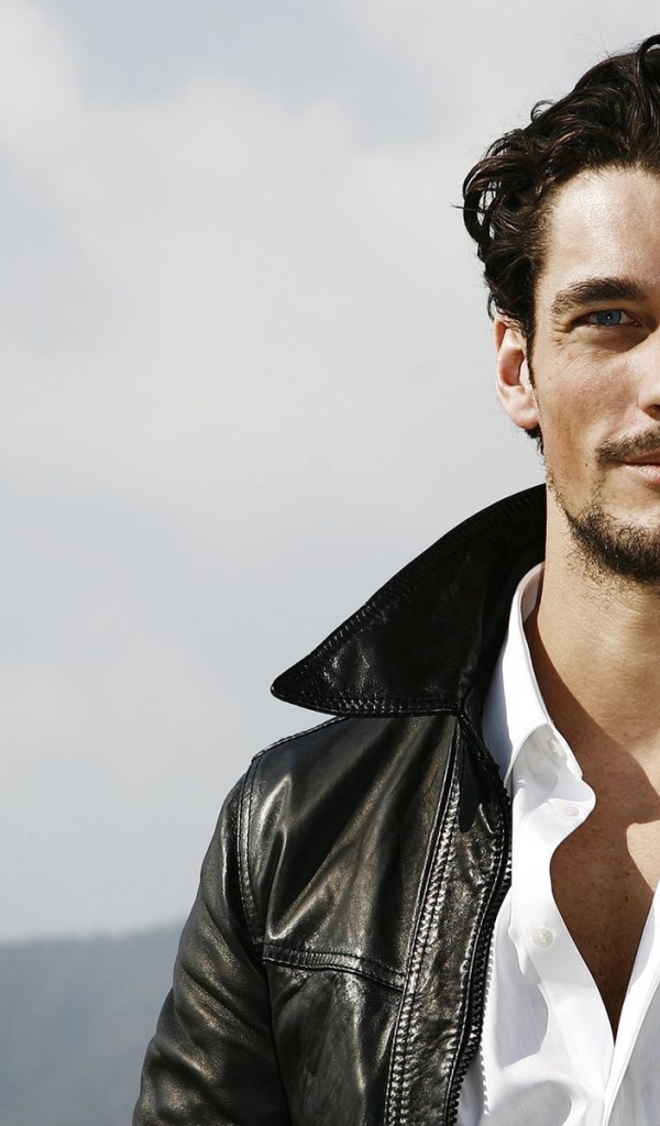 модель David Gandy
