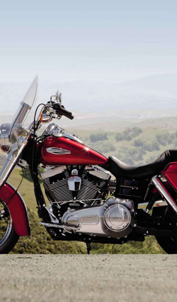 Harley-Davidson FLD Switchback