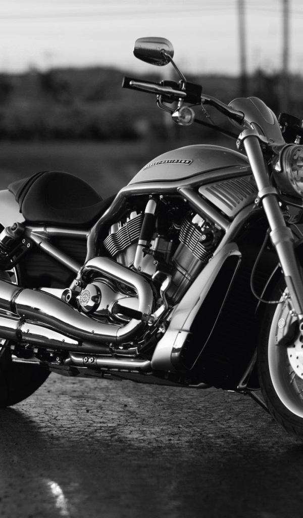 Harley Davidson  V-Rod