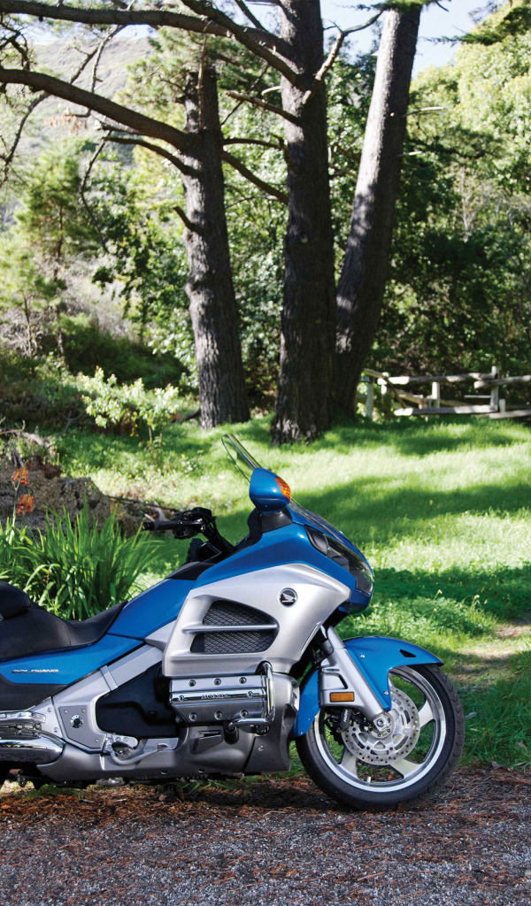 2012 Honda Goldwing