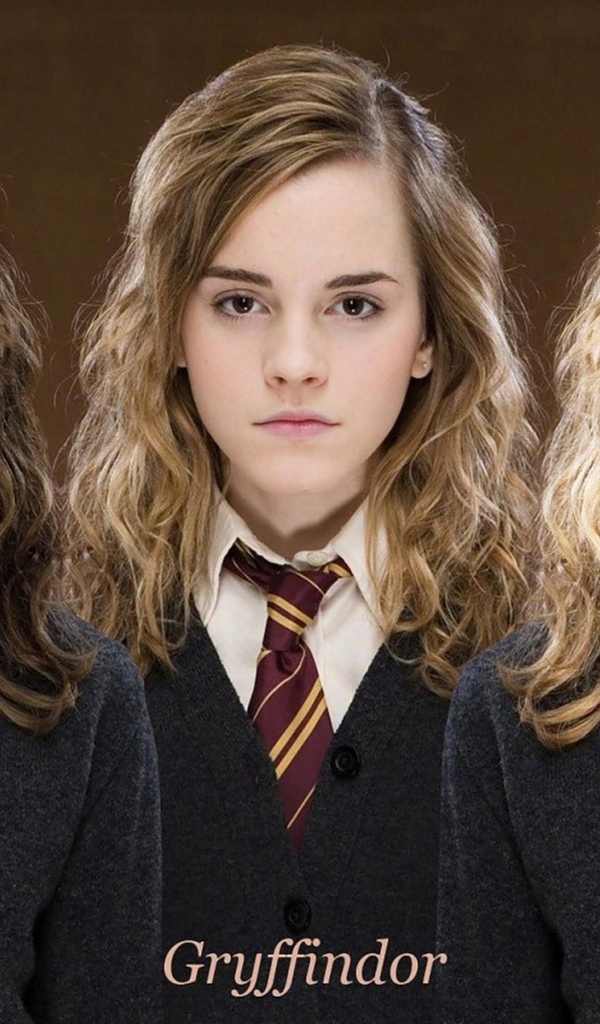 Гарри Поттер, девушки разных факультетов Хогвартс