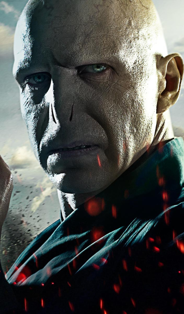 Гарри Поттер и Дары смерти: Часть 2