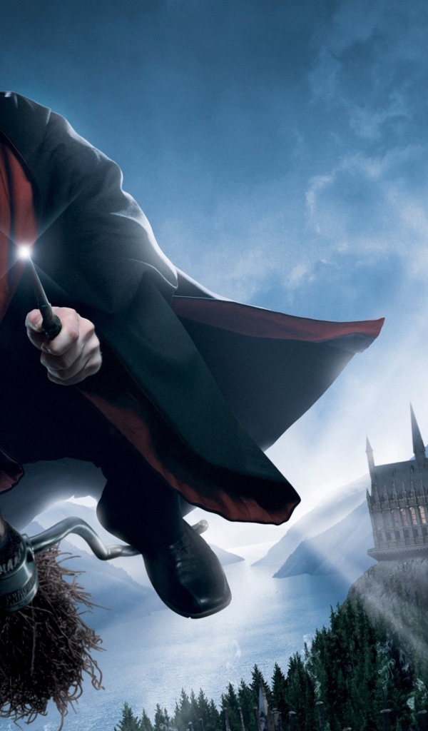 Гарри Поттер и Орден Феникса