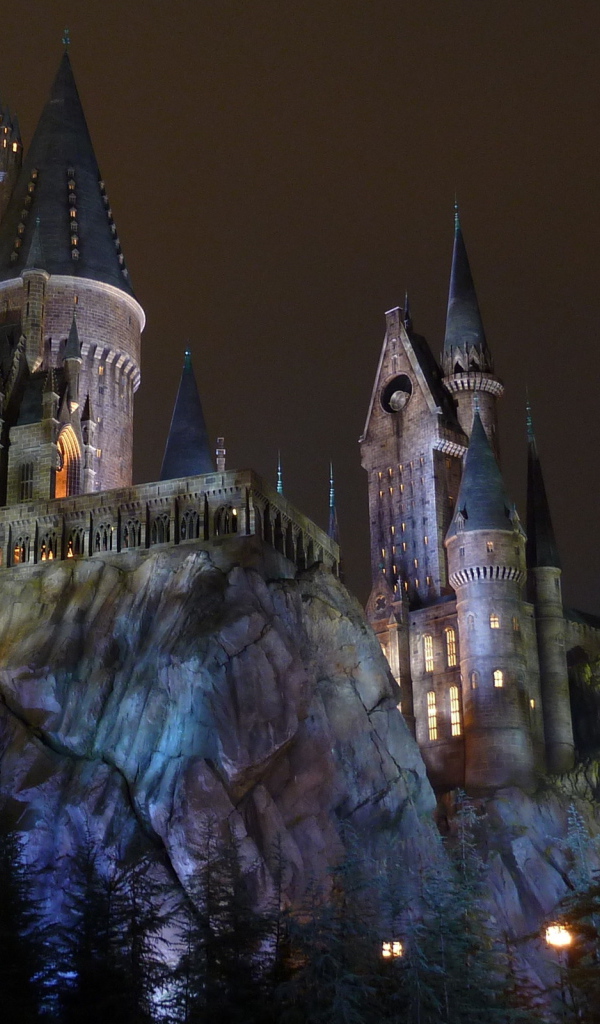Гарри Поттер, замок Хогвартс