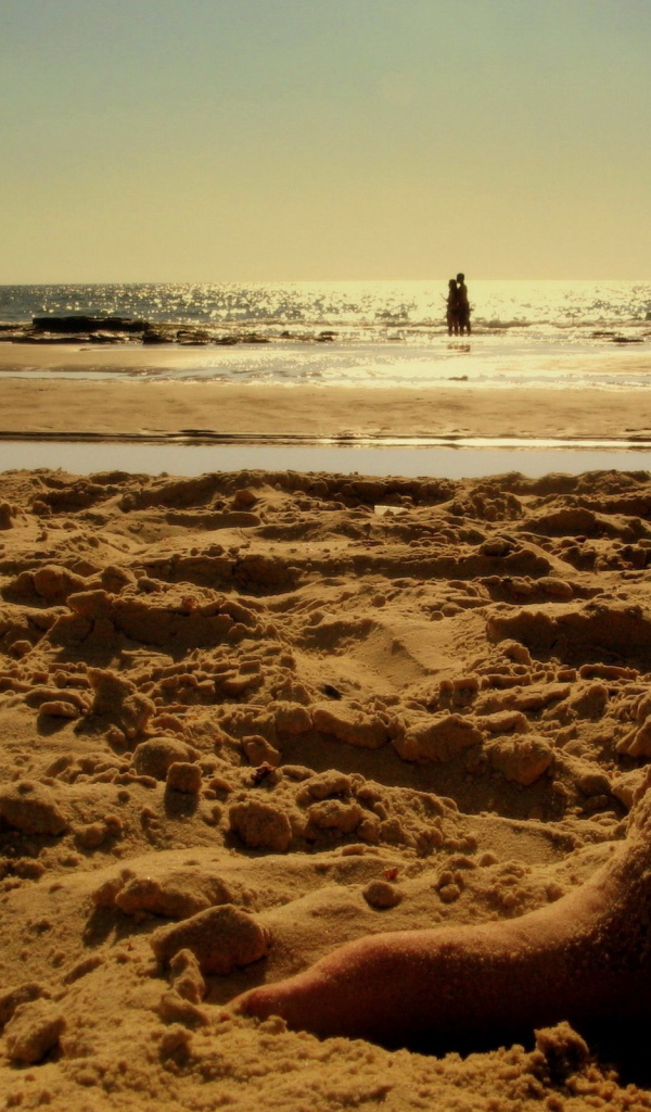 Ножки в песке