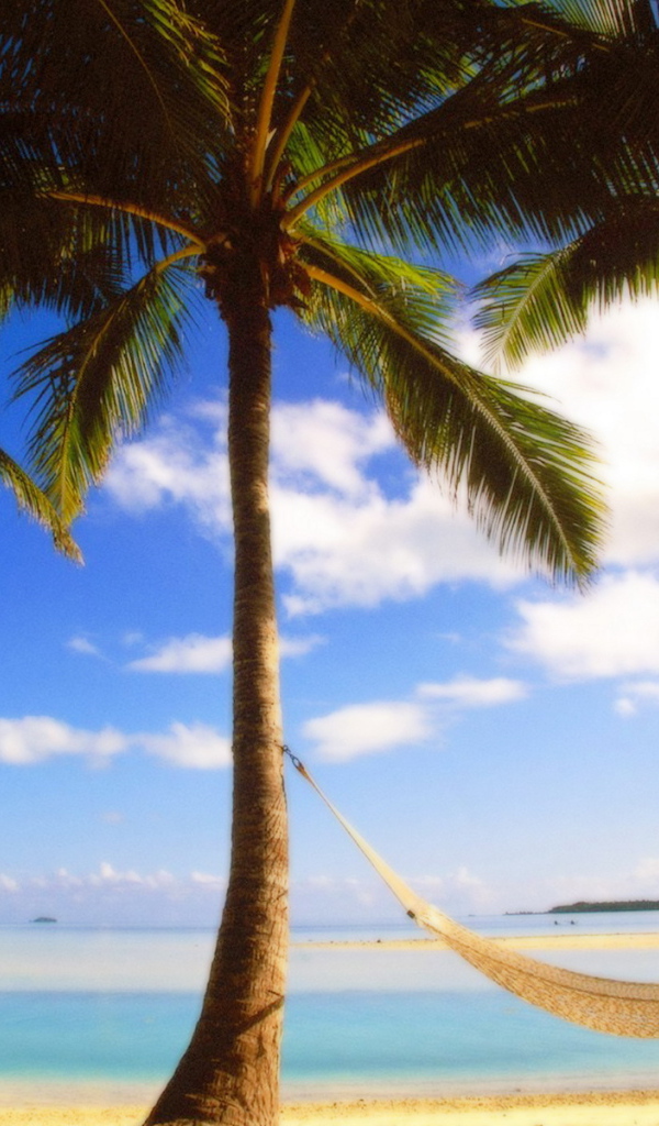 Пальмы на берегу
