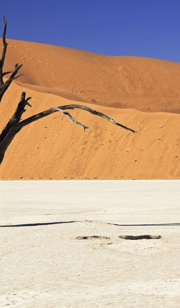 Засохшее дерево