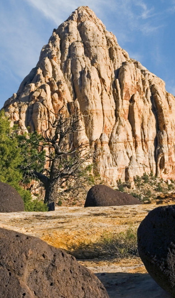 Пустынный пейзаж