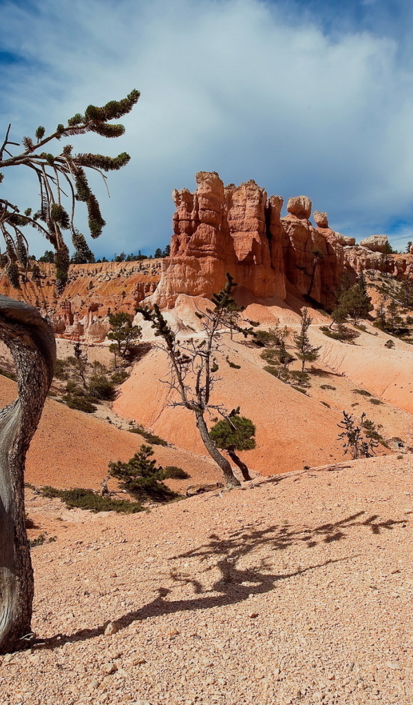 Пустынные холмы