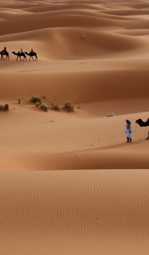 Прогулка по пустыне