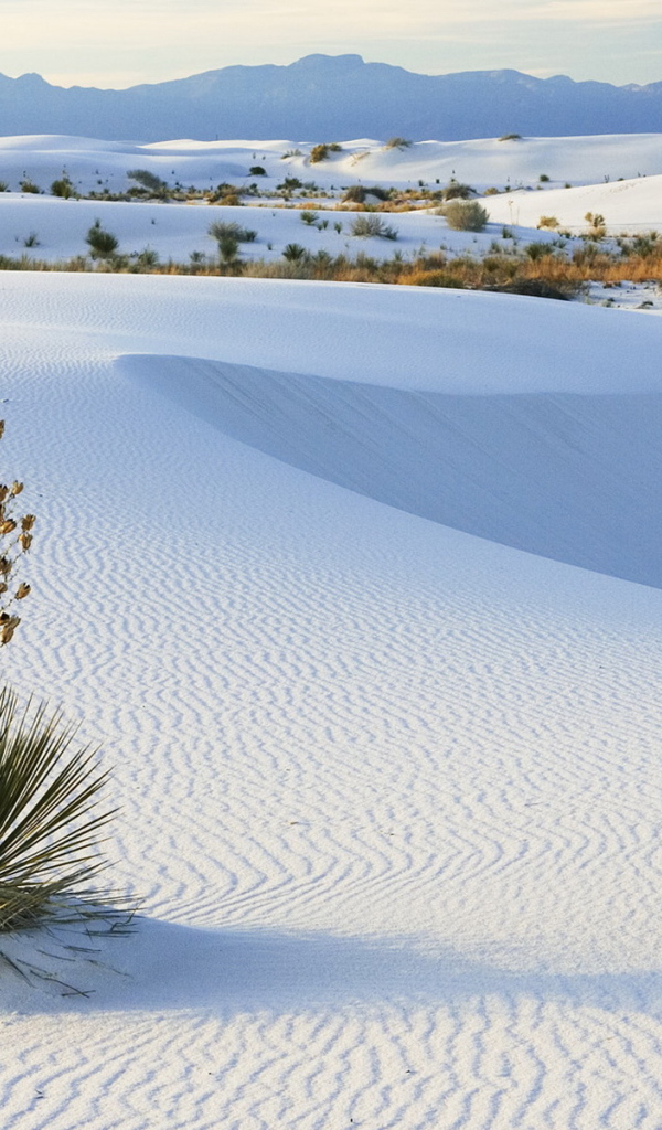 Белые пески