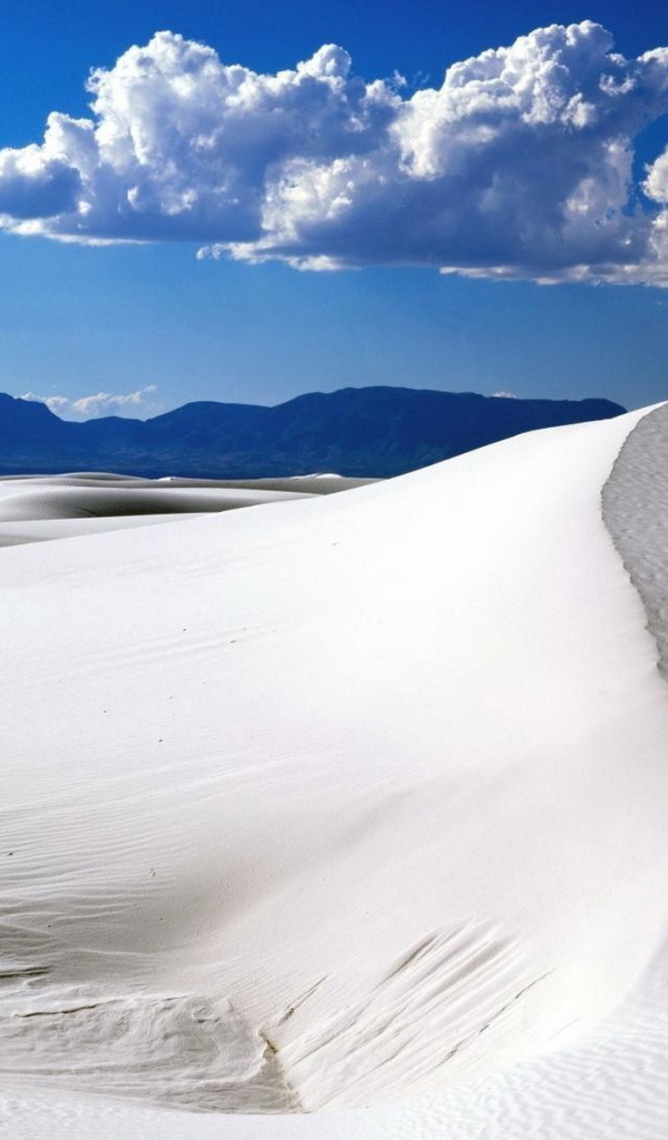 Белые пески пустыни