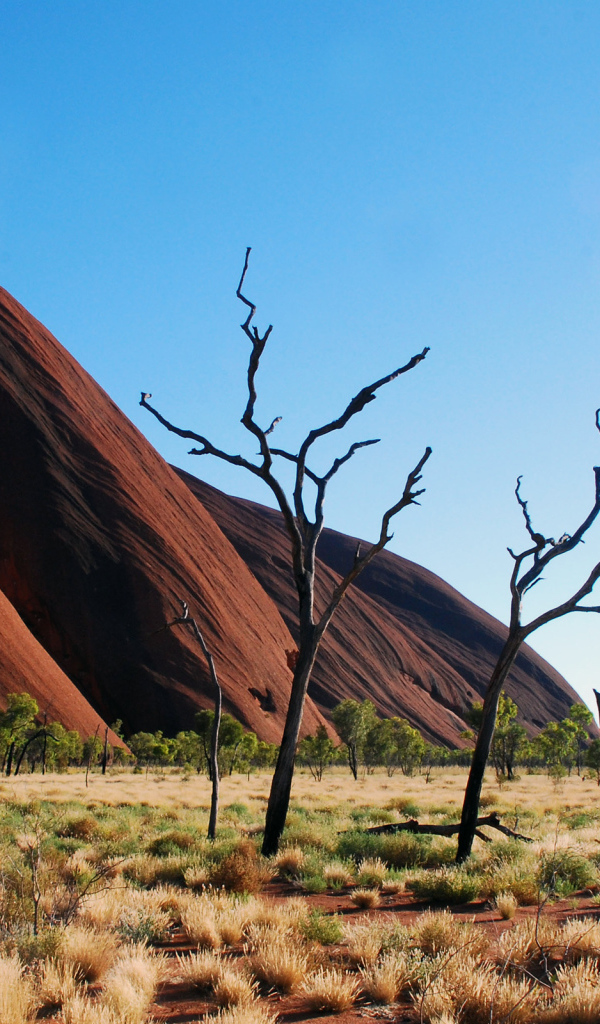 Горы пустыни